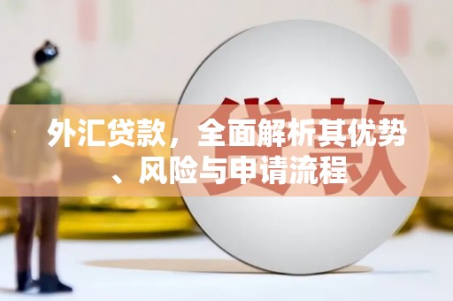 汝州外汇贷款，全面解析其优势、风险与申请流程