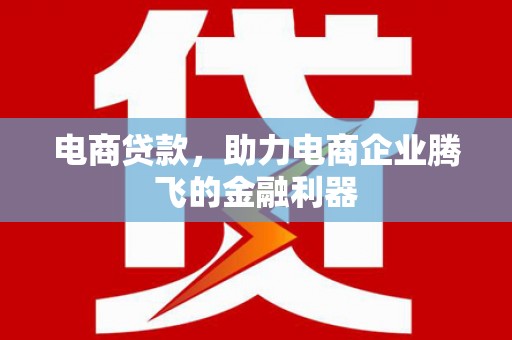 汝州电商贷款，助力电商企业腾飞的金融利器