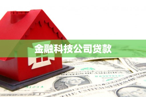 汝州金融科技公司贷款
