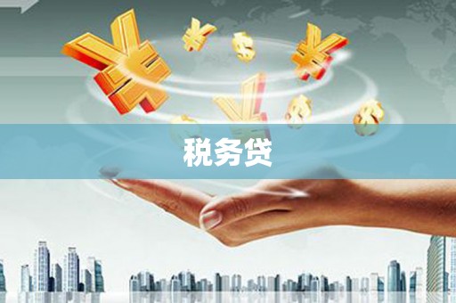 汝州税务贷
