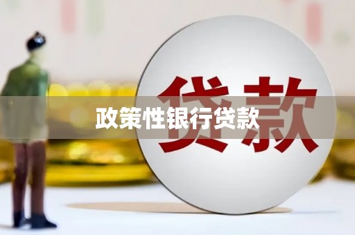 汝州政策性银行贷款