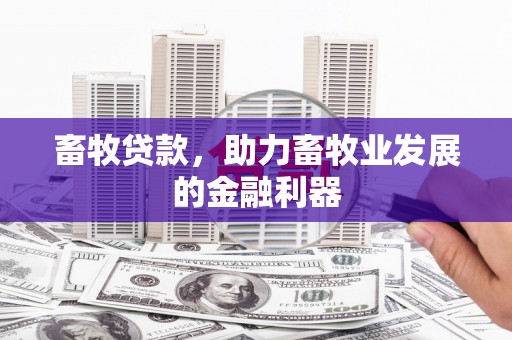 汝州畜牧贷款，助力畜牧业发展的金融利器