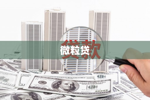 汝州微粒贷