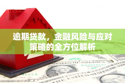 汝州逾期贷款，金融风险与应对策略的全方位解析