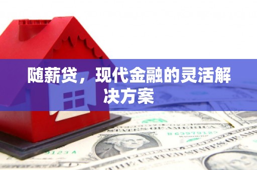汝州随薪贷，现代金融的灵活解决方案