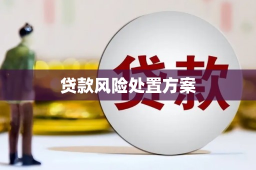 汝州贷款风险处置方案