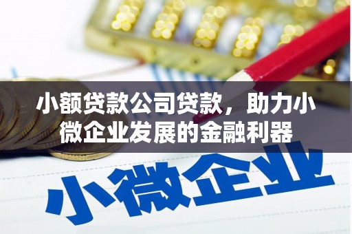 汝州小额贷款公司贷款，助力小微企业发展的金融利器