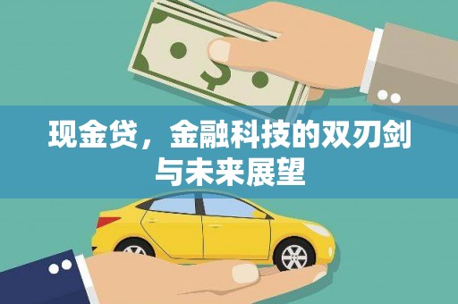 汝州现金贷，金融科技的双刃剑与未来展望