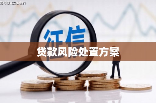 汝州贷款风险处置方案