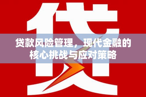 汝州贷款风险管理，现代金融的核心挑战与应对策略