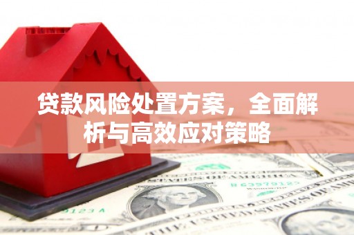 汝州贷款风险处置方案，全面解析与高效应对策略