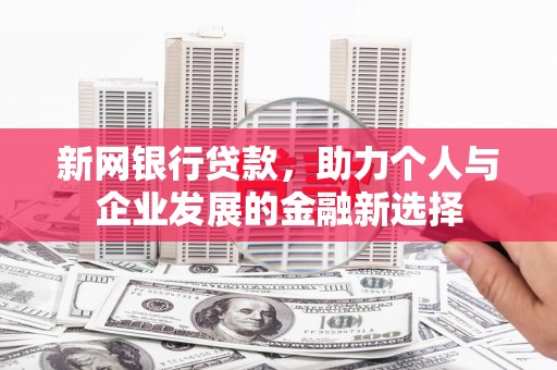汝州新网银行贷款，助力个人与企业发展的金融新选择