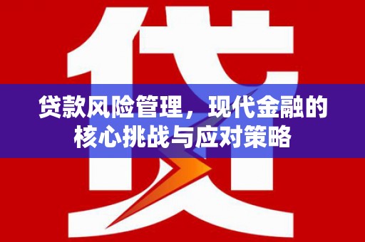 汝州贷款风险管理，现代金融的核心挑战与应对策略