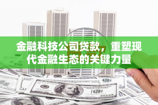 汝州金融科技公司贷款，重塑现代金融生态的关键力量
