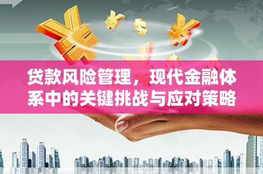 汝州贷款风险管理，现代金融体系中的关键挑战与应对策略