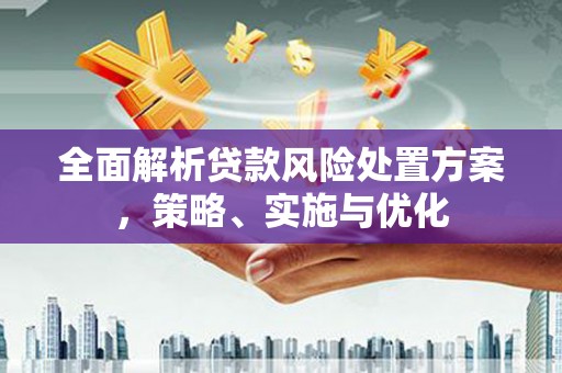 汝州全面解析贷款风险处置方案，策略、实施与优化