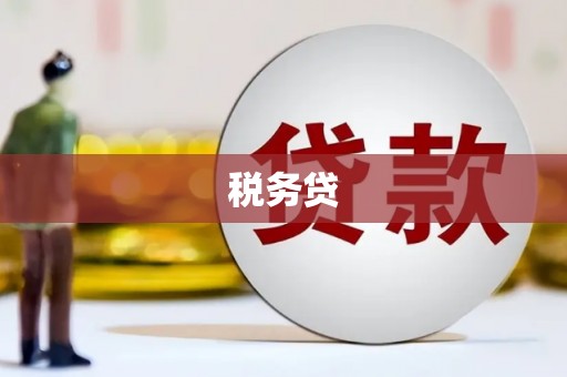 汝州税务贷