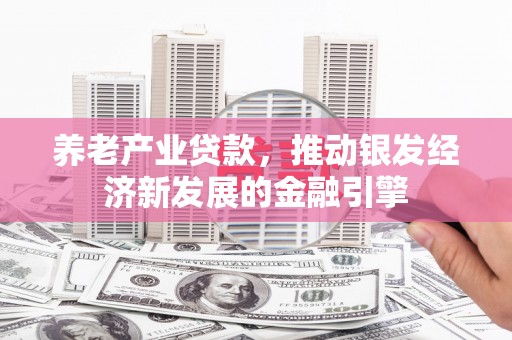 汝州养老产业贷款，推动银发经济新发展的金融引擎