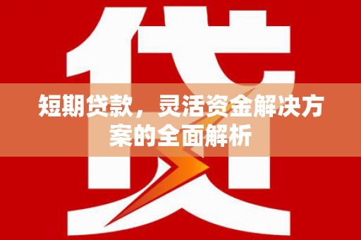 汝州短期贷款，灵活资金解决方案的全面解析