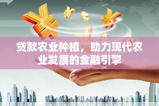 汝州贷款农业种植，助力现代农业发展的金融引擎