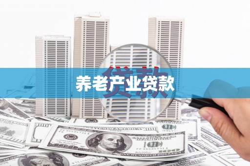 汝州养老产业贷款