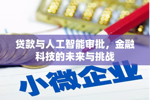 汝州贷款与人工智能审批，金融科技的未来与挑战