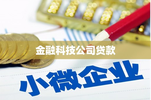 汝州金融科技公司贷款