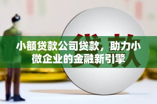 汝州小额贷款公司贷款，助力小微企业的金融新引擎