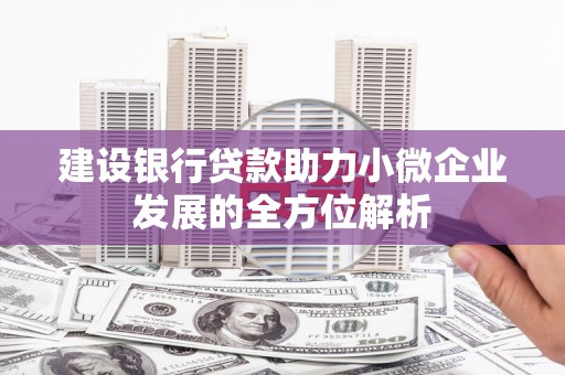 汝州建设银行贷款助力小微企业发展的全方位解析