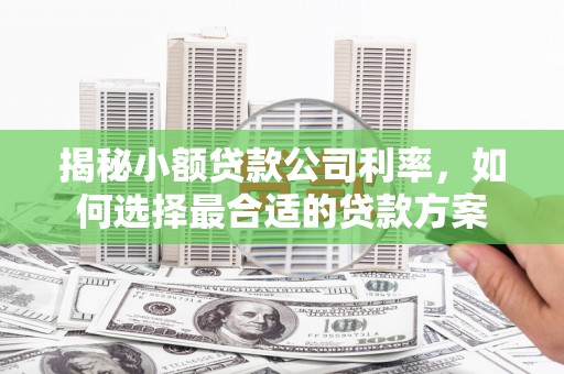 汝州揭秘小额贷款公司利率，如何选择最合适的贷款方案
