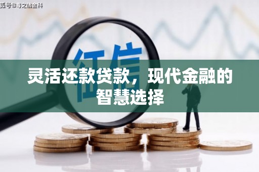 汝州灵活还款贷款，现代金融的智慧选择