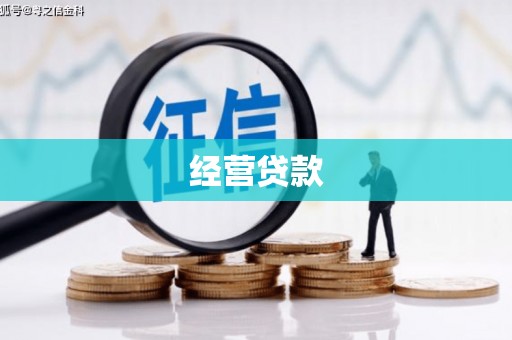 汝州经营贷款