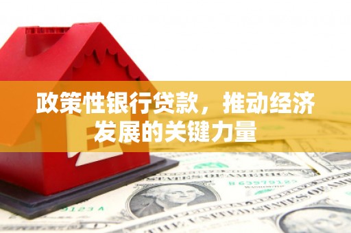 汝州政策性银行贷款，推动经济发展的关键力量