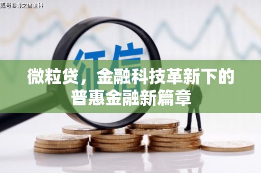 汝州微粒贷，金融科技革新下的普惠金融新篇章