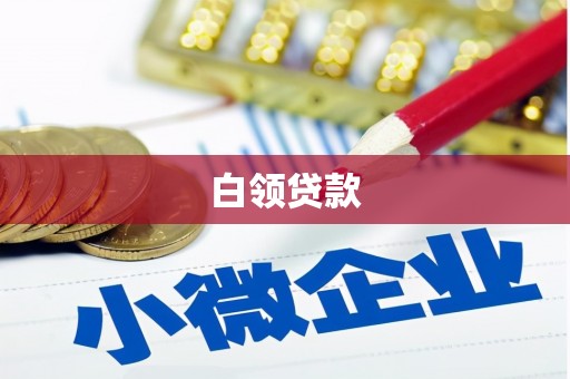 汝州白领贷款