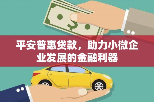 汝州平安普惠贷款，助力小微企业发展的金融利器