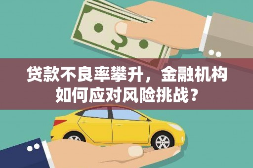汝州贷款不良率攀升，金融机构如何应对风险挑战？