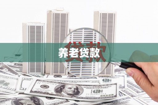 汝州养老贷款