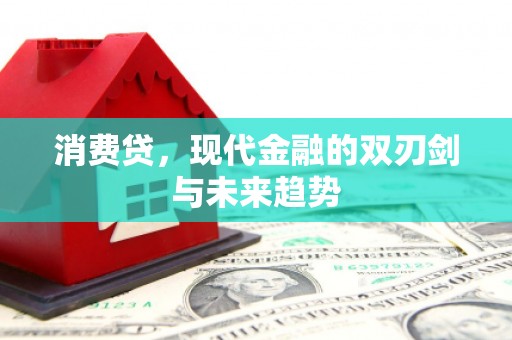 汝州消费贷，现代金融的双刃剑与未来趋势