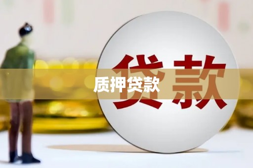 汝州质押贷款