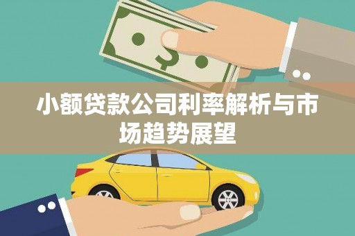 汝州小额贷款公司利率解析与市场趋势展望