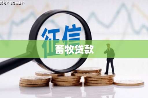 汝州畜牧贷款