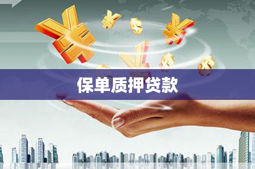 汝州保单质押贷款