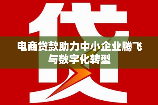 汝州电商贷款助力中小企业腾飞与数字化转型