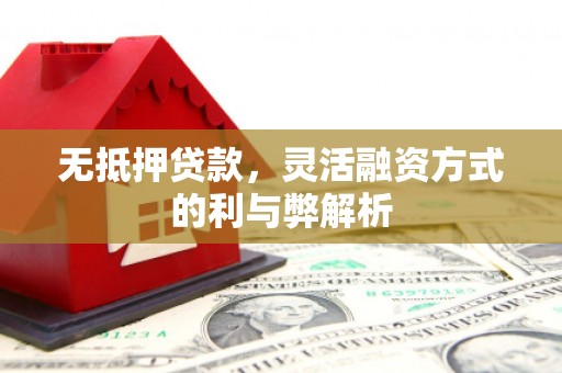 汝州无抵押贷款，灵活融资方式的利与弊解析