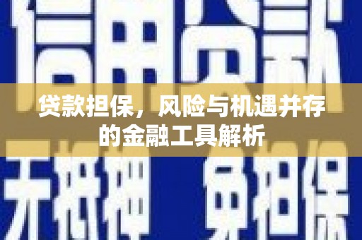 汝州贷款担保，风险与机遇并存的金融工具解析
