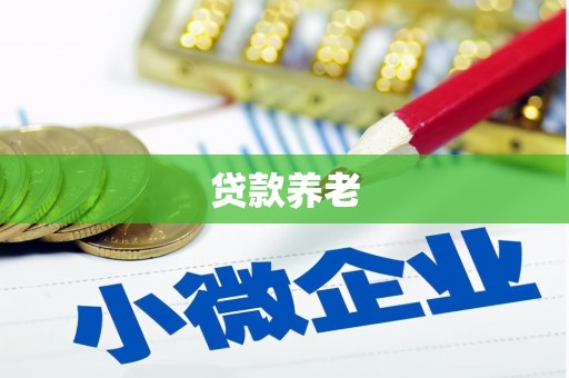 汝州贷款养老