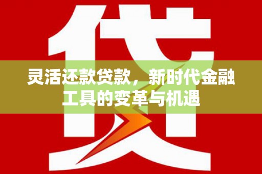 汝州灵活还款贷款，新时代金融工具的变革与机遇