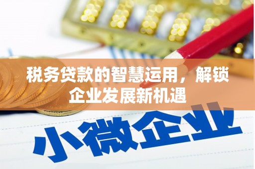汝州税务贷款的智慧运用，解锁企业发展新机遇